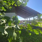Penzion Ginkgo House 4*