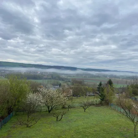 Ginkgo House בית הארחה 4*