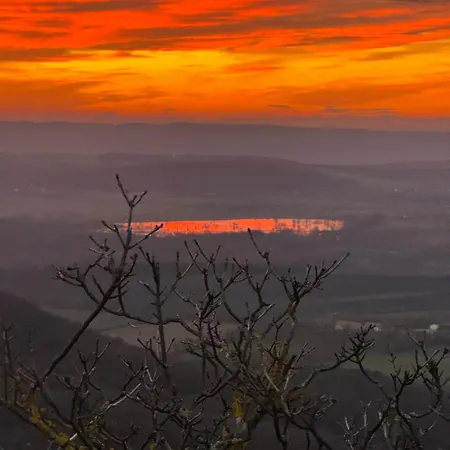 Ginkgo House בית הארחה