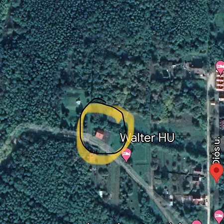 בית הארחה Ginkgo House 4*