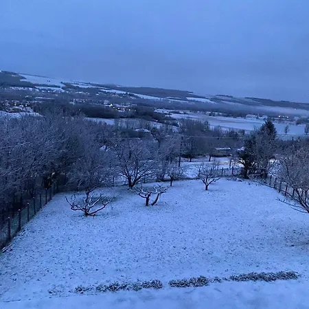 Ginkgo House Kehidakustány