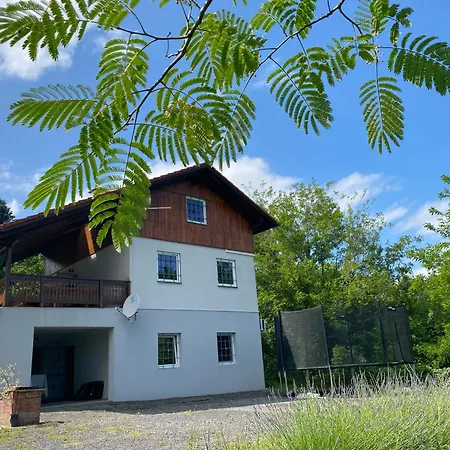 Guest house Ginkgo House