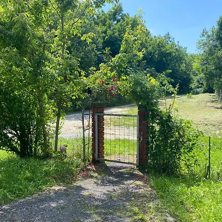 Ginkgo House בית הארחה 4*