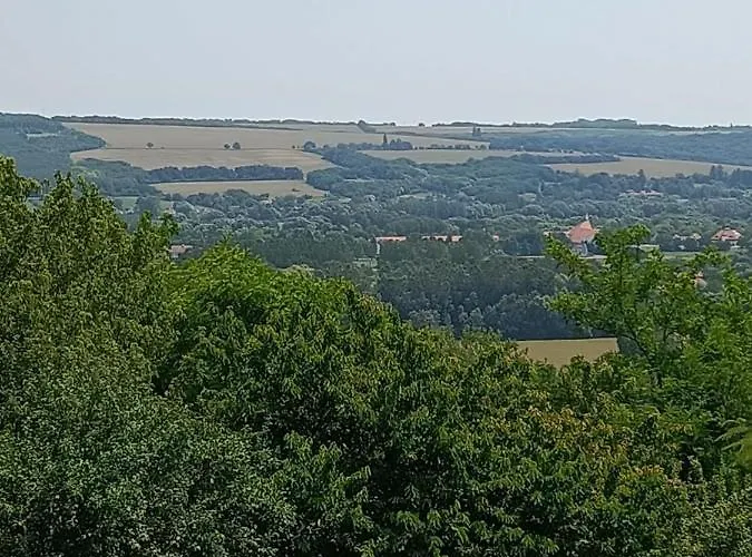 Ginkgo House Gasthof Kehidakustány