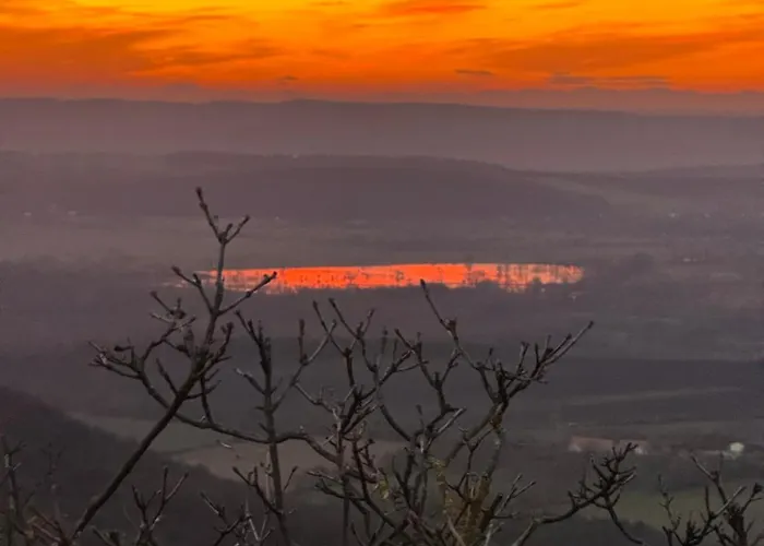 Ginkgo House Gasthof