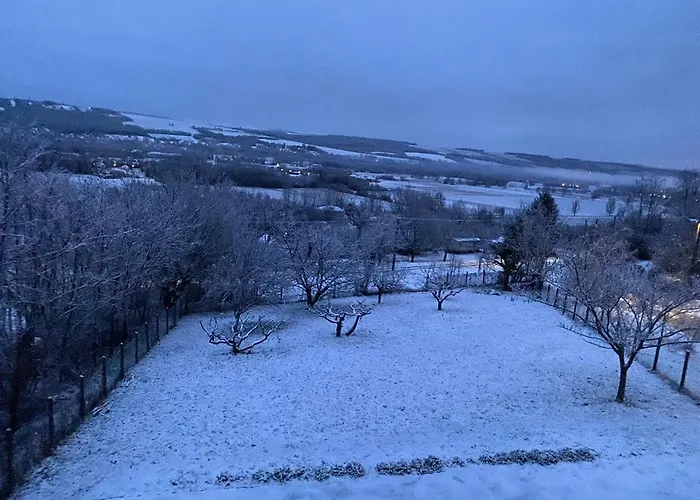 Ginkgo House Kehidakustány