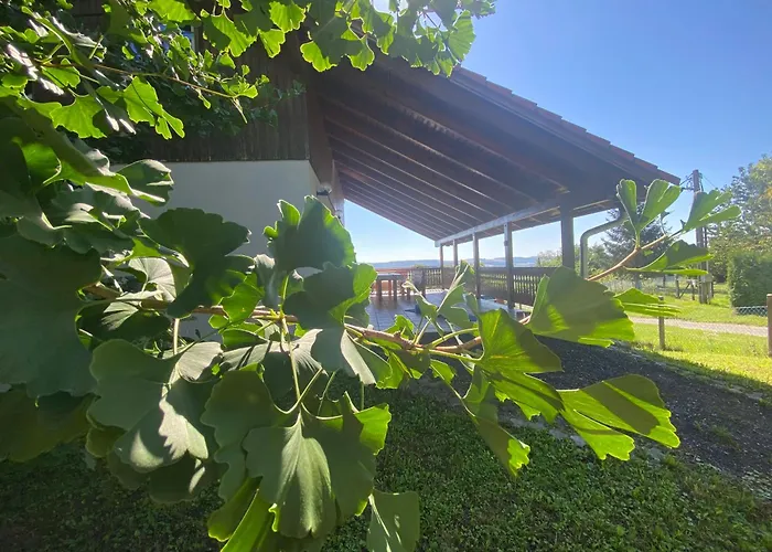 Gasthof Ginkgo House 4*