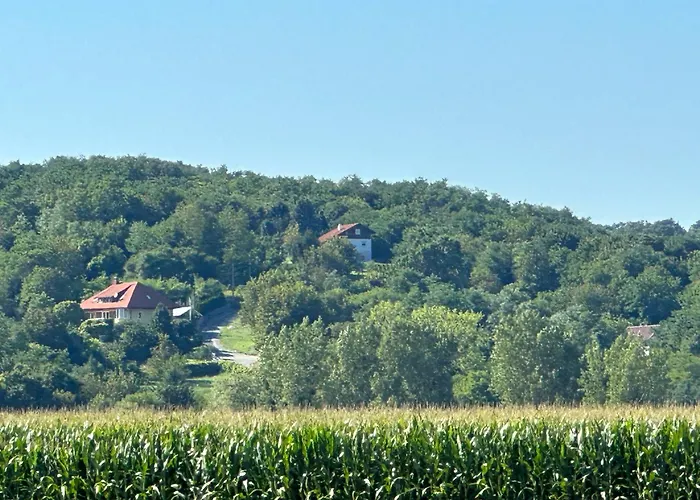 Ginkgo House Kehidakustány